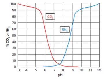 CO 2和pH相關，影響NH 3的毒性